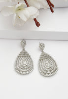 Beautiful Hollow Zirconia Drop Earrings